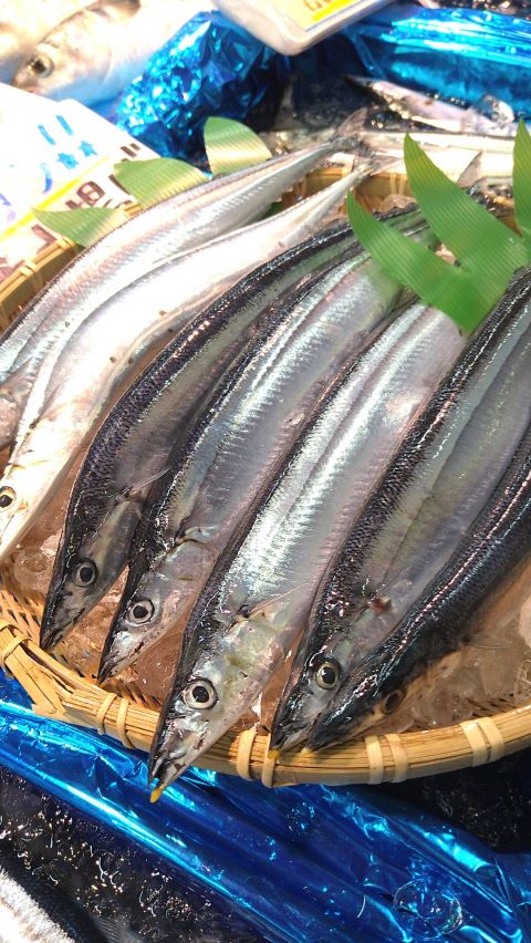特大さんま20本】 三陸・宮古の美味しい魚介を食卓に 岩船商店