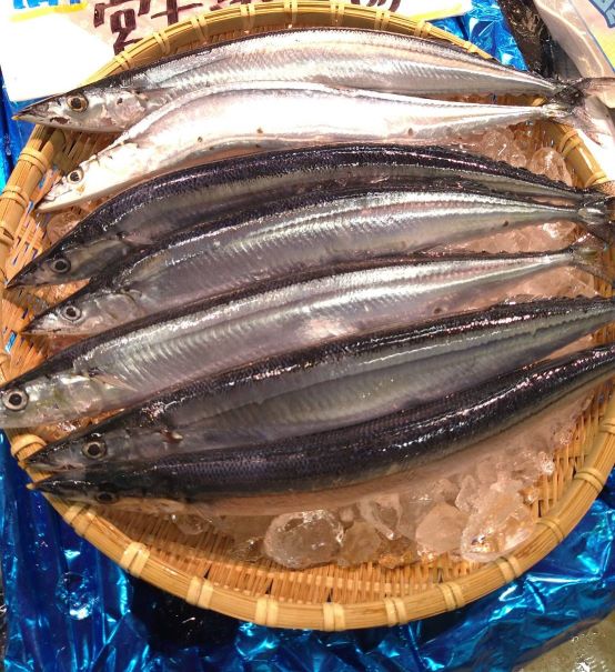 特大さんま20本】 三陸・宮古の美味しい魚介を食卓に 岩船商店