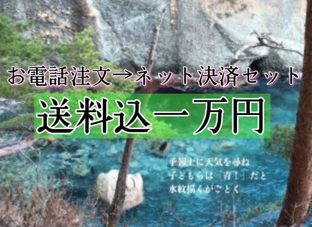 【お電話注文→ネットショップ決済セット】送料込み一万円
