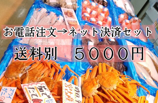 【お電話注文→ネットショップ決済セット】送料別5000円