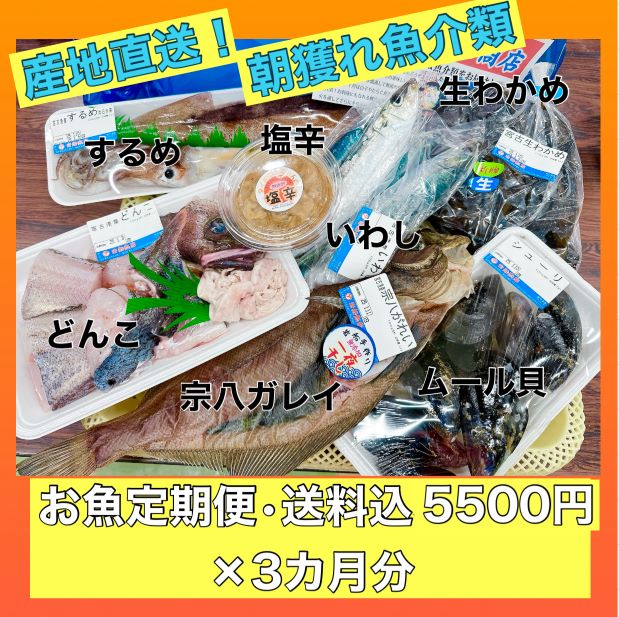 お魚定期便・送料込5500円×３か月分