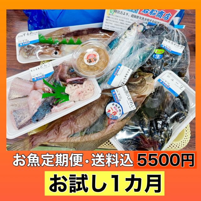 ★特別企画500円オフ★【お魚定期便・送料込5500円】お試し一回分