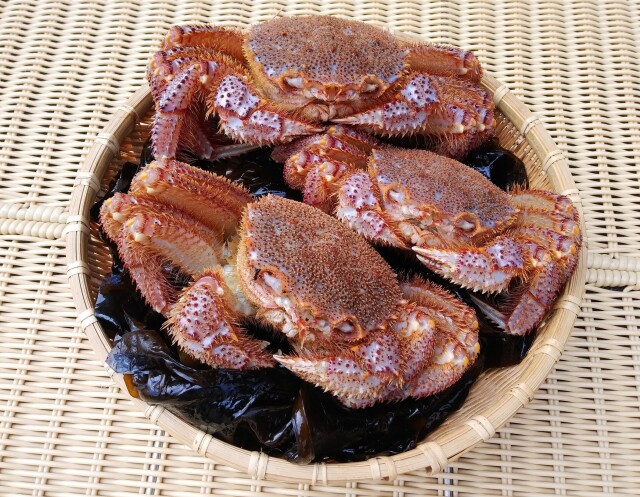 活毛ガニ 3匹で1万円