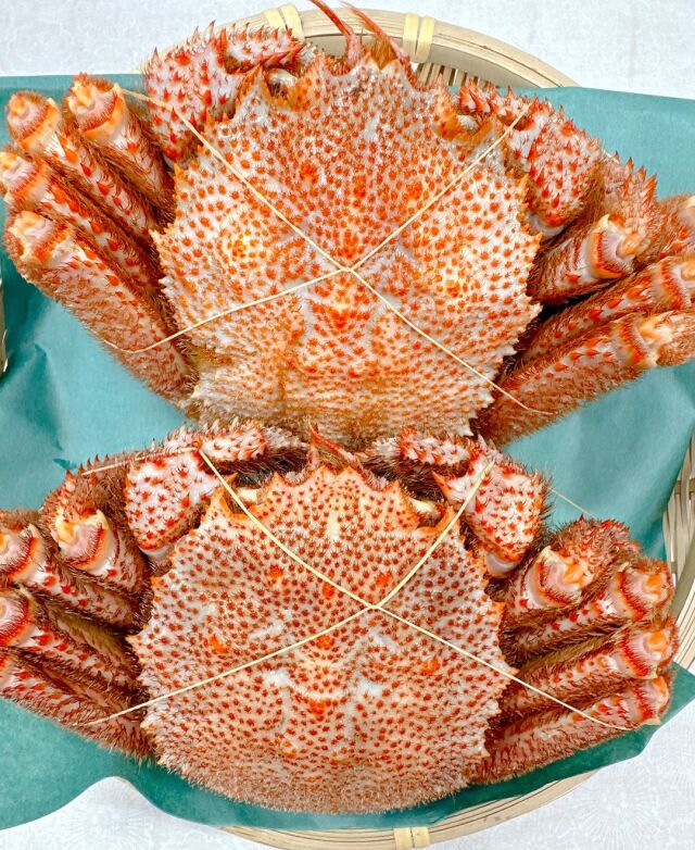 ボイル毛ガニ２匹で８千円