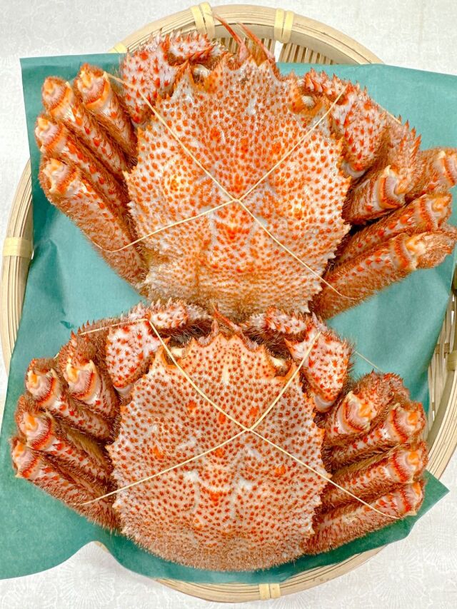 三陸産 活毛ガニ：800g（400g×2尾） | 最高級毛蟹 岩手三陸産