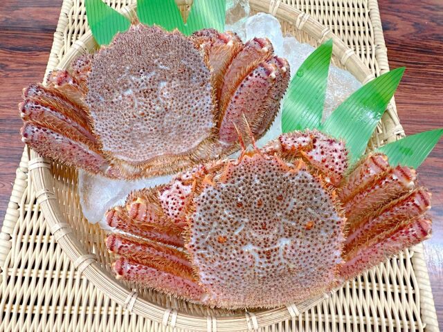 活毛ガニ２匹で８千円