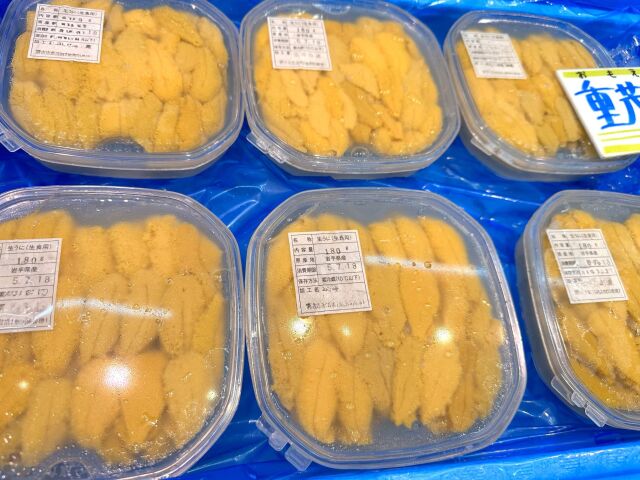 今期最後の感謝価格】生うに 3本セット 三陸・宮古の美味しい