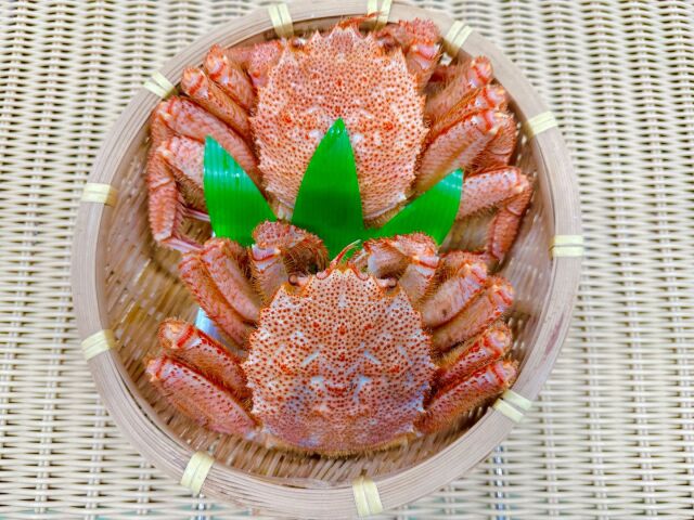 ボイル毛ガニ２匹で５千円