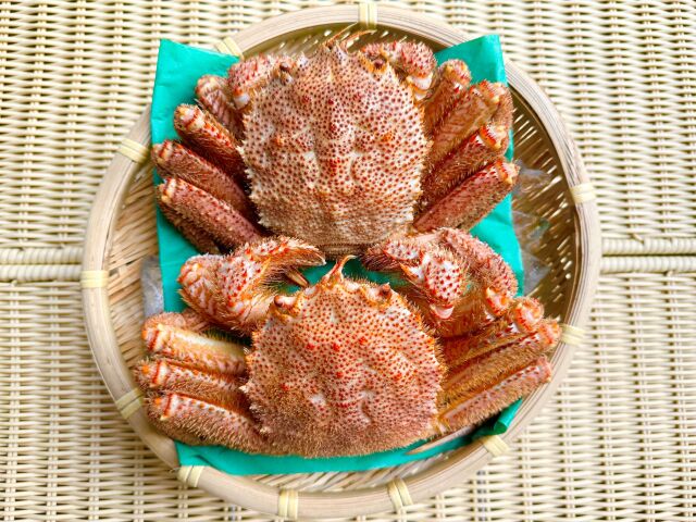 大きなボイル毛ガニ　２匹で１万円