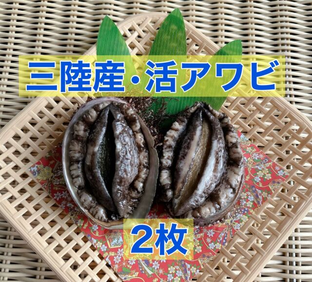 活アワビ　２個