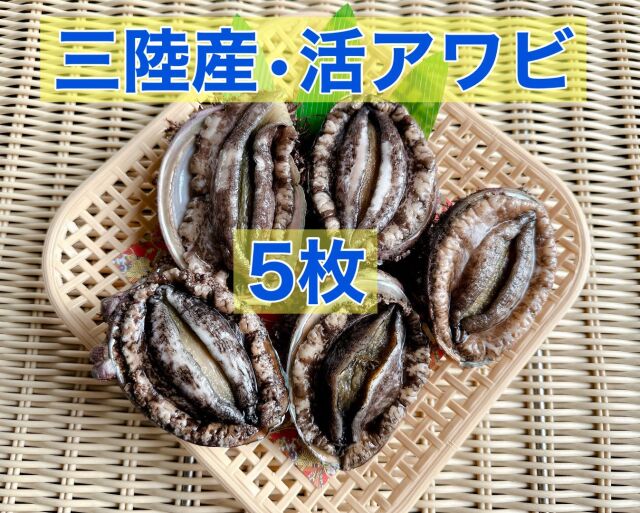 活アワビ　５個