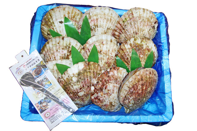 活・大ホタテ10枚&ホタテヘラのセット