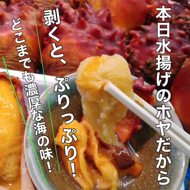 殻ホヤ５個セット