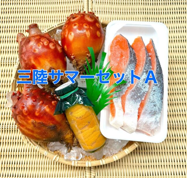 三陸サマーセットA