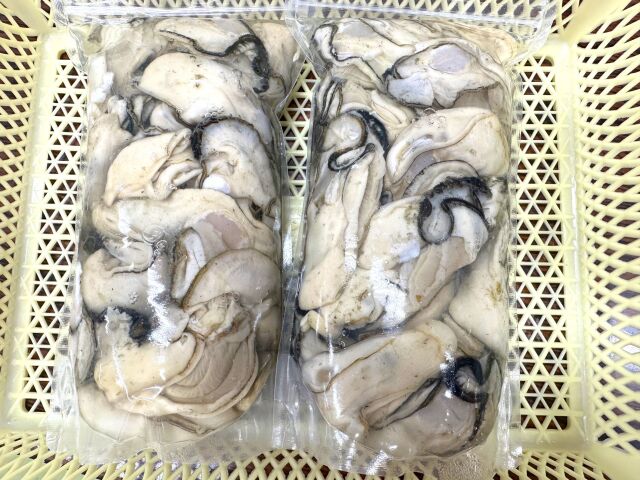 大粒!加工用牡蠣500g×2個