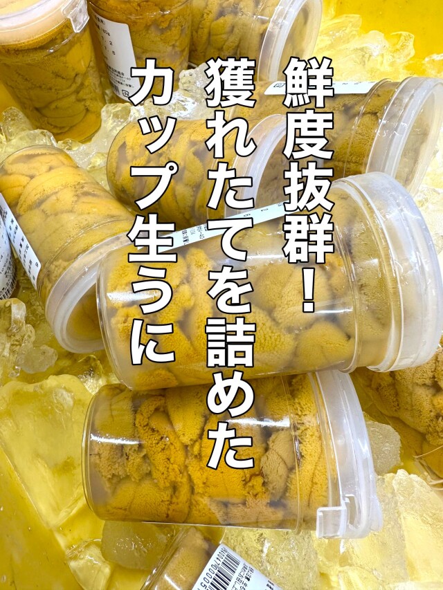 イイね!即購入する人のみ。岩手県三陸着払い直送　　ウニ　早い者勝ち 令和8年発送】【6年連続 ランキング1位】無添加『生うに』 天然 岩手