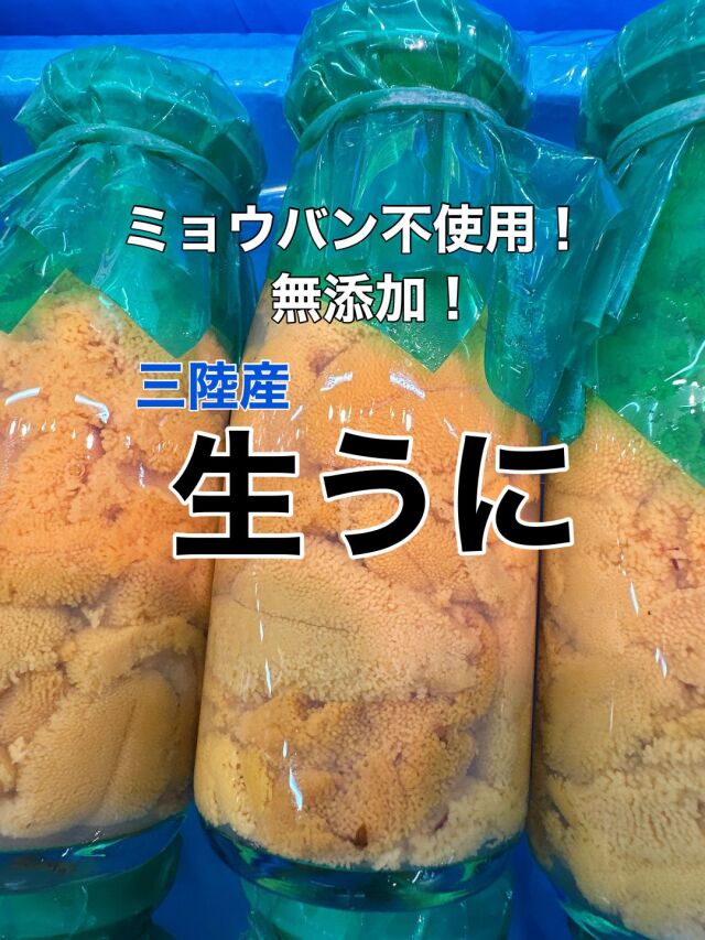 生うに　１本