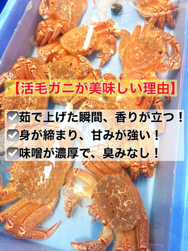 活毛ガニ 3匹で1万円 三陸・宮古の美味しい魚介を食卓に 岩船商店