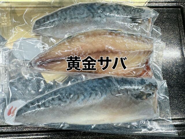 まんぞく焼き魚セット 三陸・宮古の美味しい魚介を食卓に 岩船商店