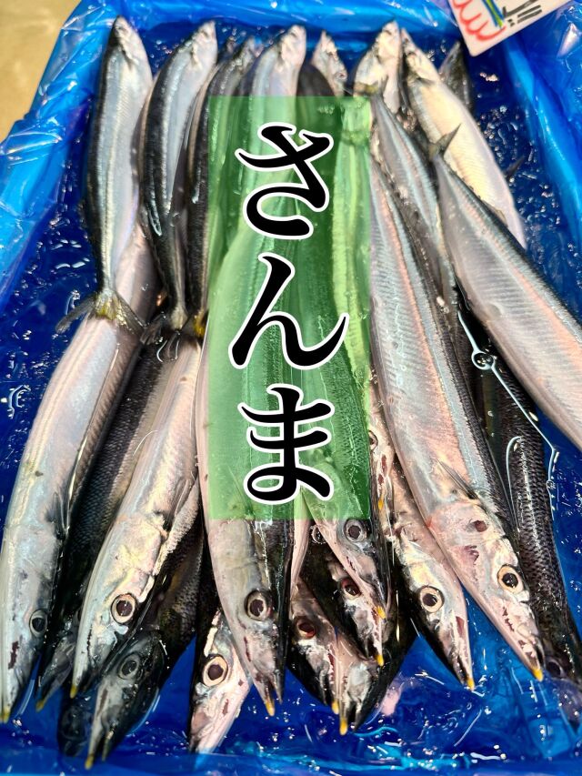 【大さんま２０本】