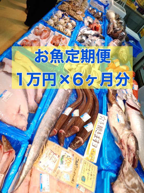お魚定期便・月１万円×６か月分