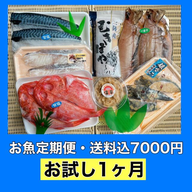 ★特別企画500円オフ★【お魚定期便・送料込7000円】お試し一回分