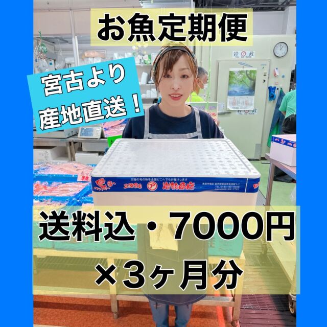 【お魚定期便・送料込7000円】×3か月分