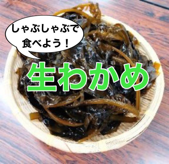 しゃぶしゃぶでどうぞ！生わかめ