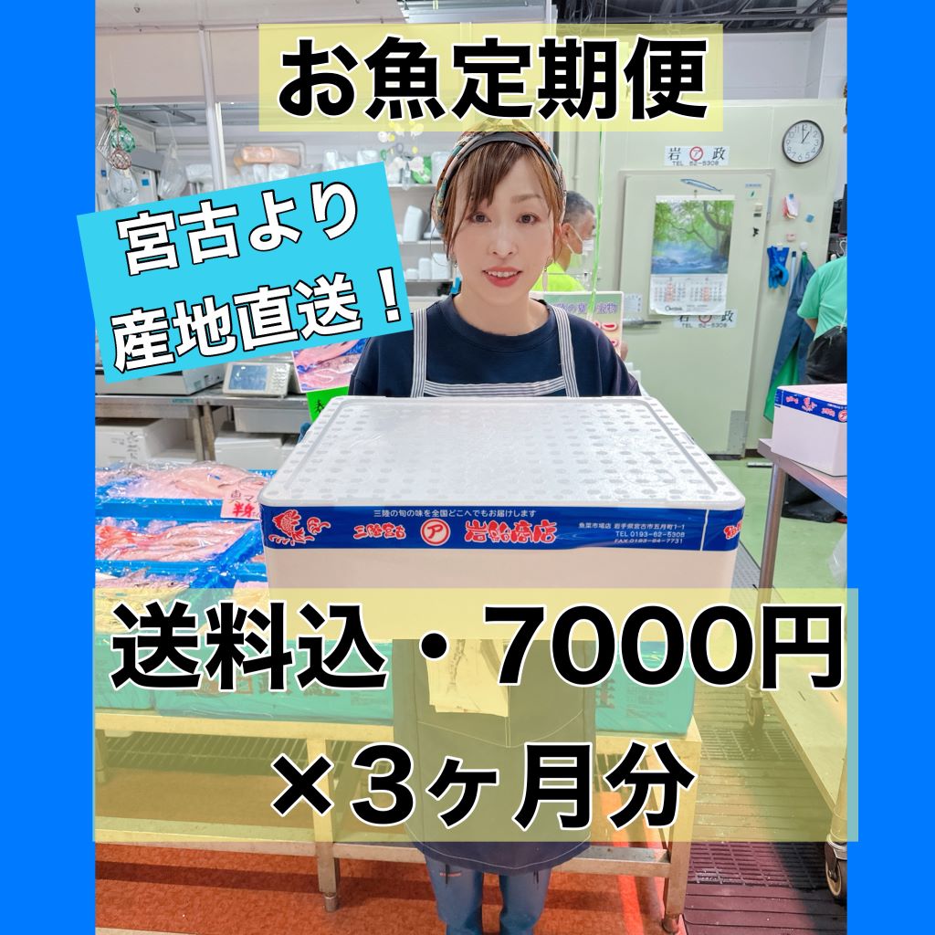 【お魚定期便・送料込7000円】×3か月分