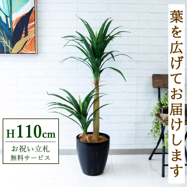 【すぐ飾れる】 フェイクグリーン ドラセナコンシナ 110cm  鉢付き / 法人・開店祝い 店舗・オフィス装飾 空間演出 立札無料・造花/PG014-A265BK
