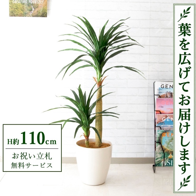 【すぐ飾れる】 フェイクグリーン ドラセナコンシナ H約110cm 鉢付き / 法人・開店祝い 店舗・オフィス装飾 空間演出 立札無料・造花/PG014-A265WH