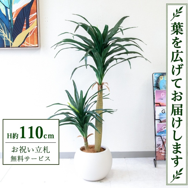 【すぐ飾れる】 フェイクグリーン ドラセナコンシナ H約110cm 鉢付き / 法人・開店祝い 店舗・オフィス装飾 空間演出 立札無料・造花/PG014-ROM27IV