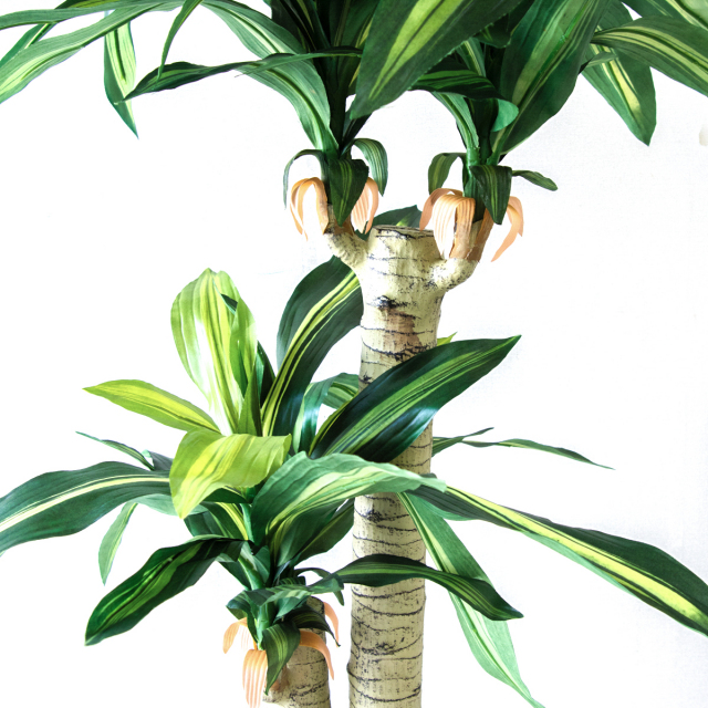 人工 観葉植物 フェイク グリーン マッサン(幸福の木) H約125cm 店舗