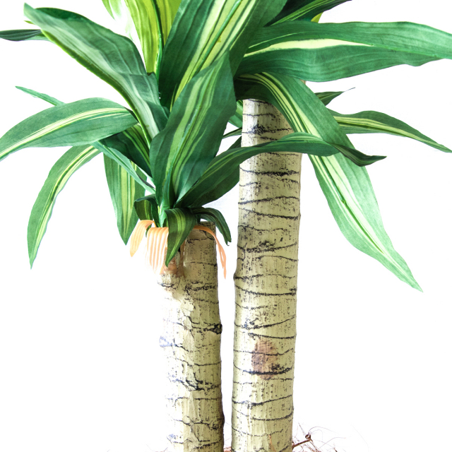 光触媒　人工観葉植物　ウォールグリーン　フェイクグリーン　幸福の木マッサン 光触媒 光の楽園 幸福ノ木S【インテリア フェイクグリーン 人工観葉