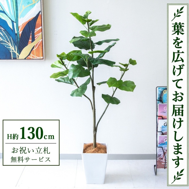【すぐ飾れる】 フェイクグリーン フィカス ウンベラータ H約130cm 鉢付き / 法人・開店祝い 店舗・オフィス装飾 空間演出 立札無料・造花/PG077-Q20WH