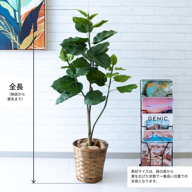 当面取引き　フェイクグリーン フィカス ウンベラータ 人工観葉植物 人工 観葉植物 フェイク グリーン ウンベラータ H約120cm 店舗 装飾