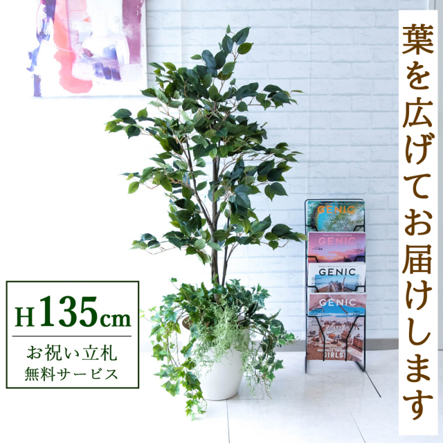 【すぐ飾れる】 フェイクグリーン フィカス ベンジャミン 135cm 鉢付き / 法人・開店祝い 店舗・オフィス装飾 空間演出 立札無料・造花/PG080-A265WH-UG2