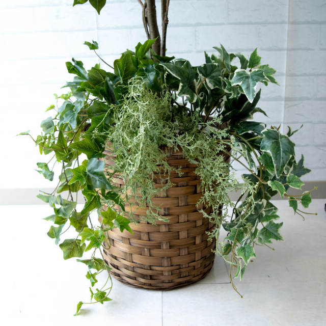 人工 観葉植物 フェイク グリーン クラシックフィカス H約135cm 店舗