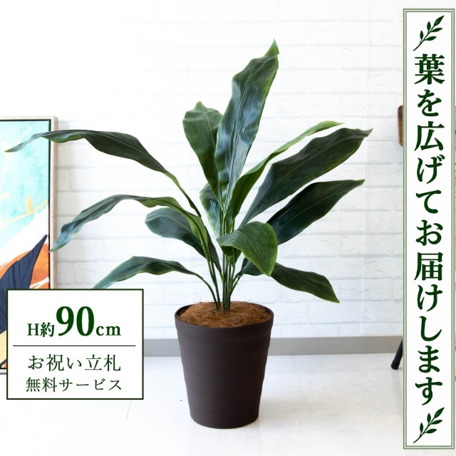 【すぐ飾れる】 フェイクグリーン ハラン H約90cm 鉢付き / 法人・開店祝い 店舗・オフィス装飾 空間演出 立札無料・造花/PG083-B240BR