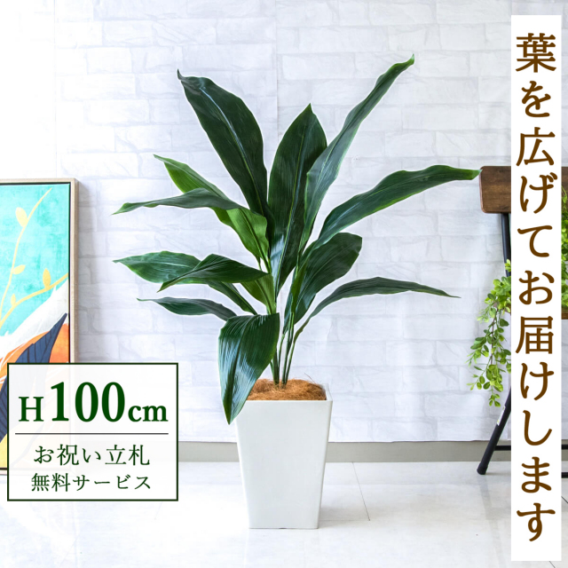 【すぐ飾れる】 フェイクグリーン ハラン 100cm  鉢付き / 法人・開店祝い 店舗・オフィス装飾 空間演出 立札無料・造花/PG083-Q20WH