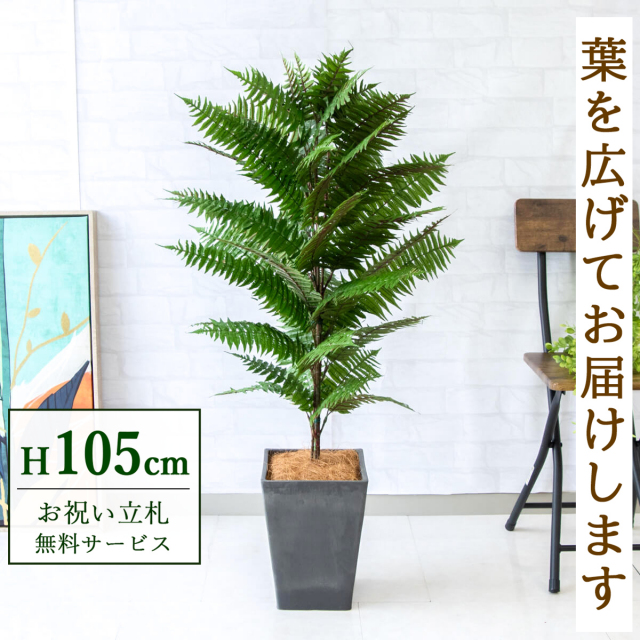 【すぐ飾れる】 フェイクグリーン ハワイアンシダー 105cm  鉢付き / 法人・開店祝い 店舗・オフィス装飾 空間演出 立札無料・造花/PG086-Q20BK