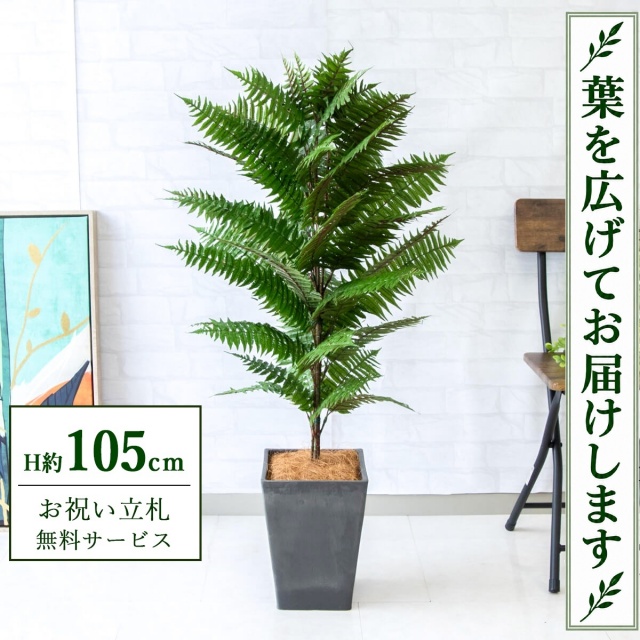 【すぐ飾れる】 フェイクグリーン ハワイアンシダー H約105cm 鉢付き / 法人・開店祝い 店舗・オフィス装飾 空間演出 立札無料・造花/PG086-Q20BK
