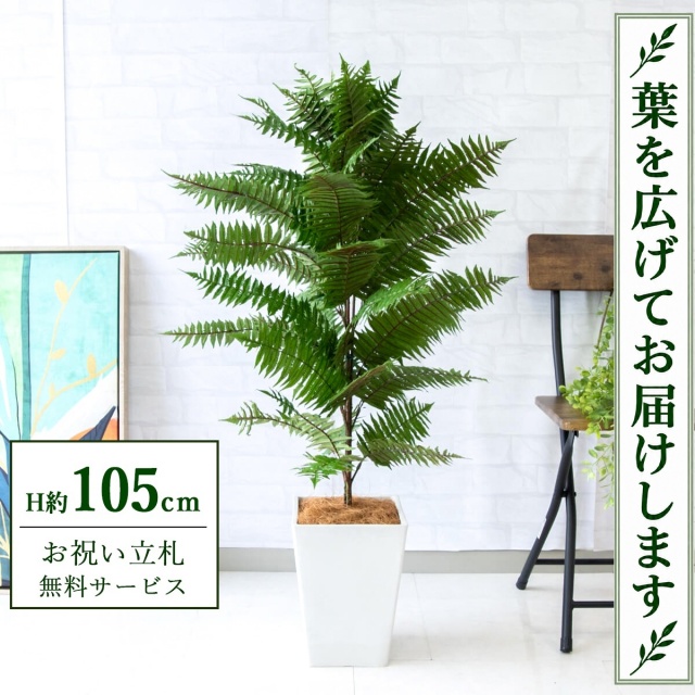 【すぐ飾れる】 フェイクグリーン ハワイアンシダー H約105cm 鉢付き / 法人・開店祝い 店舗・オフィス装飾 空間演出 立札無料・造花/PG086-Q20WH