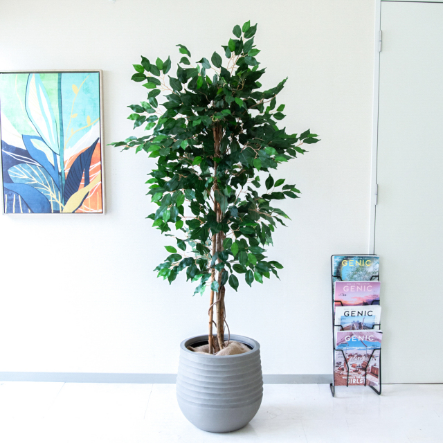 人工 観葉植物 フェイク グリーン ベンジャミンフィカスツリー H約