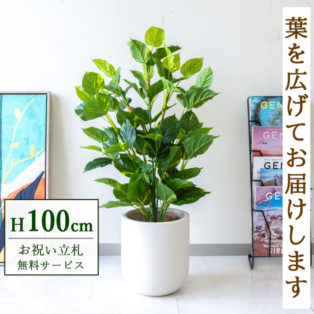 【すぐ飾れる】 フェイクグリーン フレッシュポトス 100cm 鉢付き / 法人・開店祝い 店舗・オフィス装飾 空間演出 立札無料・造花/PG093-CHC25IV