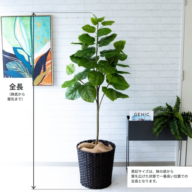 人工 観葉植物 フェイク グリーン ウンベラータ H約150cm 店舗 装飾