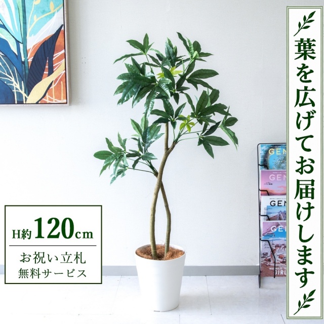 【すぐ飾れる】 フェイクグリーン パキラ H約120cm 鉢付き / 法人・開店祝い 店舗・オフィス装飾 空間演出 立札無料・造花/PG1001-B240WH