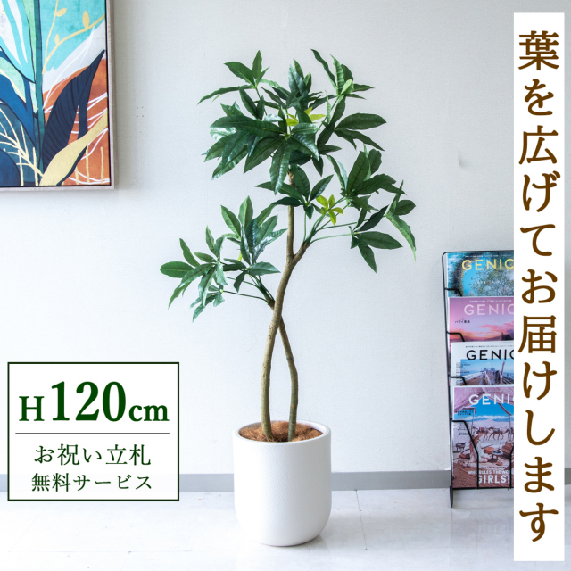 【すぐ飾れる】 フェイクグリーン パキラ 120cm  鉢付き / 法人・開店祝い 店舗・オフィス装飾 空間演出 立札無料・造花/PG1001-CHC25IV
