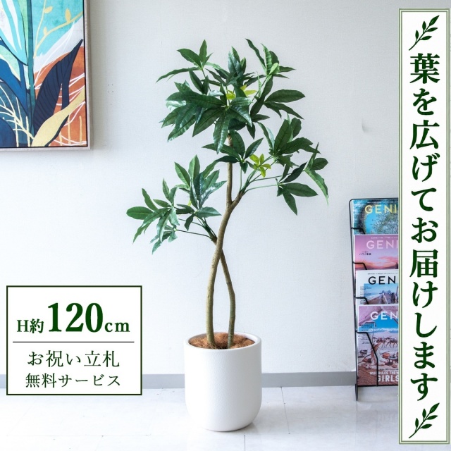 【すぐ飾れる】 フェイクグリーン パキラ H約120cm 鉢付き / 法人・開店祝い 店舗・オフィス装飾 空間演出 立札無料・造花/PG1001-CHC25IV