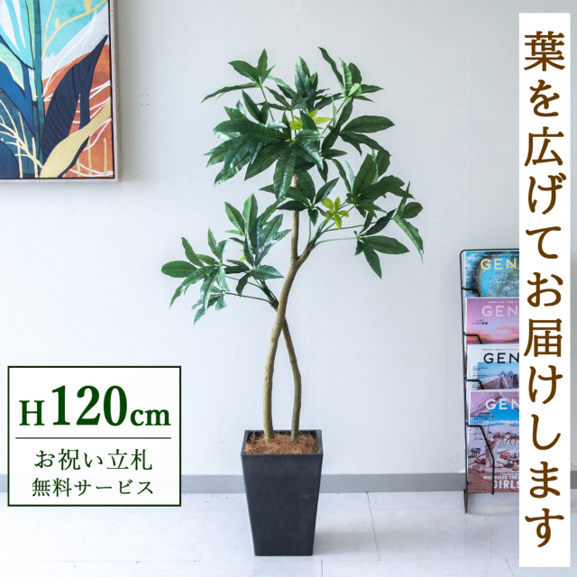 【すぐ飾れる】 フェイクグリーン パキラ 120cm  鉢付き / 法人・開店祝い 店舗・オフィス装飾 空間演出 立札無料・造花/PG1001-Q20BK